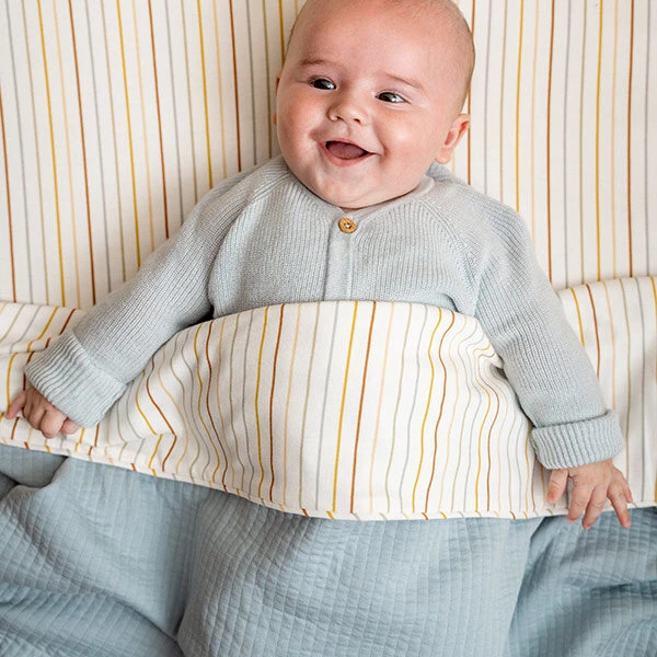 Little Dutch Hoes Autostoeltje 0+ Pure Soft Blue 3 Little Dutch Hoes Autostoeltje 0+ Pure Soft Blue - Afbeelding 3